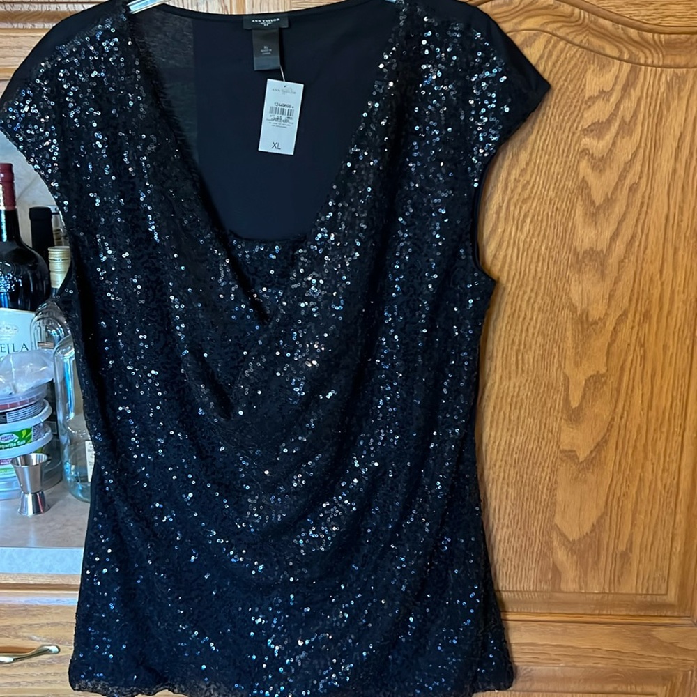 Ann Taylor Top